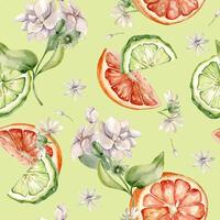Half bergamot and orange watercolor seamless pattern isolated. Citrus slices and jasmine plants. Hand drawn assorted fruits and flowers in botanical sketch for summer floral print, package, textile. vector