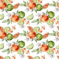 Jasmine flowers with citrus fruits grapefruit and bergamot watercolor seamless pattern isolated. Hand drawn summer plants orange and green colors in botanical sketch style for wrapping paper, textile. vector