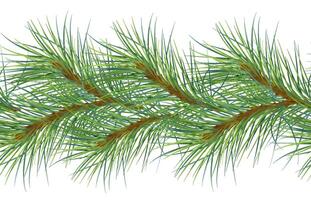 Christmas tree branches by watercolor on seamless border isolated on white. Pine botanical repeat background. Spruce tree branches on repeating pattern design for wrapping paper, fabric, package vector