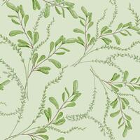 Botanical seamless pattern foliage with stems. Thin green branches with leaves watercolor greenery endless background isolated. Plants arrangements hand drawn ornament print. For textile, package. vector