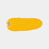 Editable illustration of corn on a gray background vector