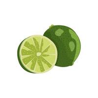 Editable illustration of a lime vector