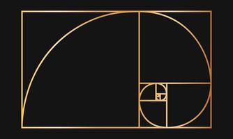 Golden ratio template. Gold logarithmic spiral in rectangle frame divided on squares. Fibonacci sequence grid. Leonardo da Vinci divine proportion. Ideal nature symmetry layout. illustration vector