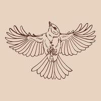 Titmouse. Flying bird. Hand drawn illustration. vector
