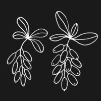 Branch with leaves and barberry. Hand drawn illustration in outline style. vector