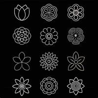 Black Background Lotus Flower with the Word 'Lotus' Design. vector