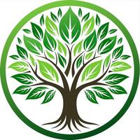 Green Leaves and Deep Roots Encircling a Circular Design vector