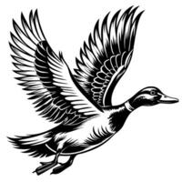Black and White Illustration of a Flying Duck with Detailed Feathers vector