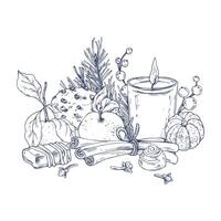 Tangerines with cotton, pine branches and cones, sweets, candle and spices. Graphic illustration hand drawn in black ink. Composition, sublimation, arrangement EPS . vector