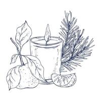 Burning candle in a glass jar with tangerines and a pine branch. Graphic illustration hand drawn in black ink. Composition, sublimation, arrangement EPS . vector