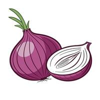 Two onions on a white background vector