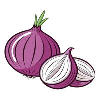An onion and a half onion are shown on a white background vector