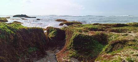 Beautiful view on suluban beach with big rocks in bali photo