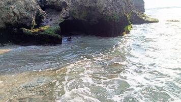 Beautiful view on suluban beach with big rocks in bali photo