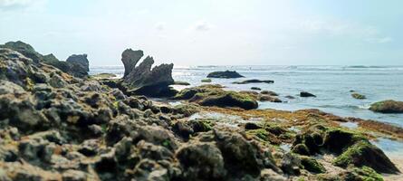 Beautiful view on suluban beach with big rocks in bali photo