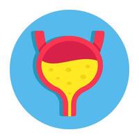Conceptual flat design icon of bladder vector