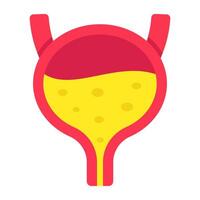 Conceptual flat design icon of bladder vector
