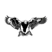 pintail duck landing after flying seen from the front hunting logo illustration vector