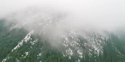 Green grass land with snow and fog, green grassland and snow, fog landscape, scenic tranquil, peaceful rural picturesque, highlands misty, foggy grass, snow-covered video