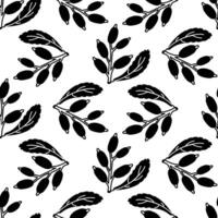pattern of barberry, twigs and berries, art deco. Culinary herbs and spices, hand-drawn. Seamless seasoning. Seamless texture in black silhouette on a white. Seasonings, spices, and food additives vector