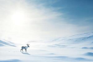 Snow-covered landscape with a distant reindeer, leaving room for text in the open space, photo