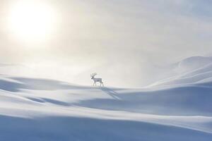 Snow-covered landscape with a distant reindeer, leaving room for text in the open space, photo