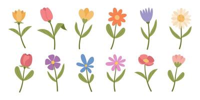 Set of spring flowers, on a white background vector