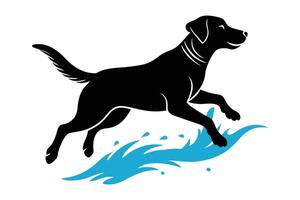silhouette of a Labrador Retriever jumping through water splashes vector