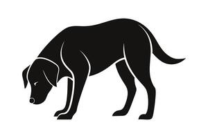 silhouette of a Labrador Retriever sniffing the ground attentively. vector