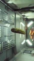 marinated pickled cucumber floating in internation space station video