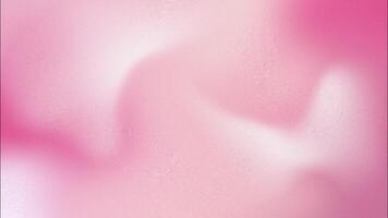 Pink gradient twist or waves background with grainy texture video