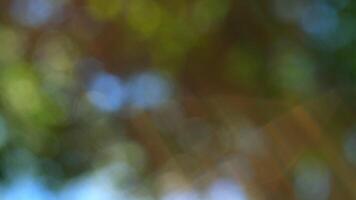 Beautiful Nature Background And That Has Sunlight At Forest. Green Nature Background With Sparkle Bokeh. video