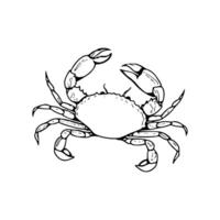 A crab coloring page with a black outline vector
