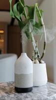 The cold steam is flowing up from the oil aroma diffuser and houseplants on table. Modern air humidifier device at workplace. Space for text, vertical shot. Aromatherapy Concept. video