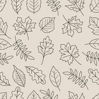 Seamless pattern of leaves in black line art isolated on brown background vector