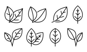 Natural linear leaves and branches icon set vector