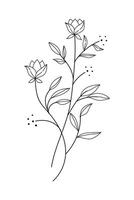 Hand-Drawn Twigs with Leaves in a Botanical Style vector