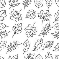 Seamless pattern of leaves in black line art isolated on white background. illustration vector