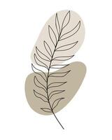 Hand-drawn line art tropical palm leaf on abstract stones. illustration vector