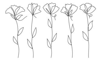 Minimalist single line flower art collection vector