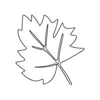 One Continuous Maple Leaf Illustration vector