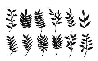 Silhouette botanical branches and leaves collection. illustration. vector