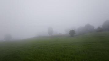 Fog envelops green hills dotted with trees, creating a serene countryside scene filled with atmospheric beauty video