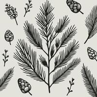 A set of hand drawn pine cones and branches vector