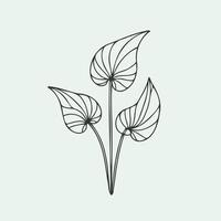 A line drawing of a plant with leaves vector