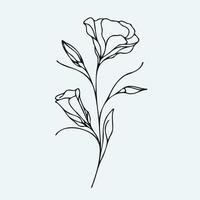 A drawing of a flower with leaves vector