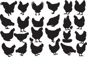 Chicken silhouette illustration vector