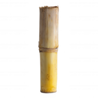 A close-up of a natural bamboo stalk showcasing its unique texture and color. png