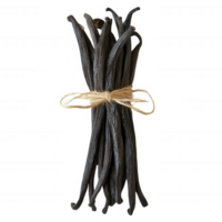 A bundle of dried vanilla beans tied with twine, perfect for culinary uses. png