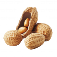 A close-up view of peanuts in their shells on a white background. png